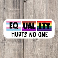 equality hurts no one sticker