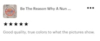 be the reason why why a nun screenshot
