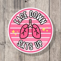 face down sats up sticker